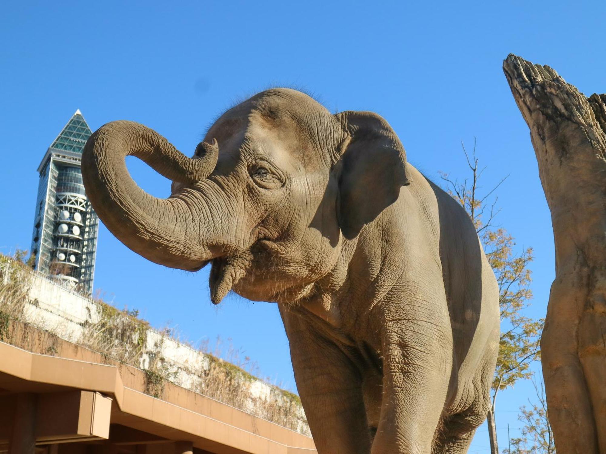 โรงแรมเวสเซล คัมพานา นาโกย่า ภายนอก รูปภาพ